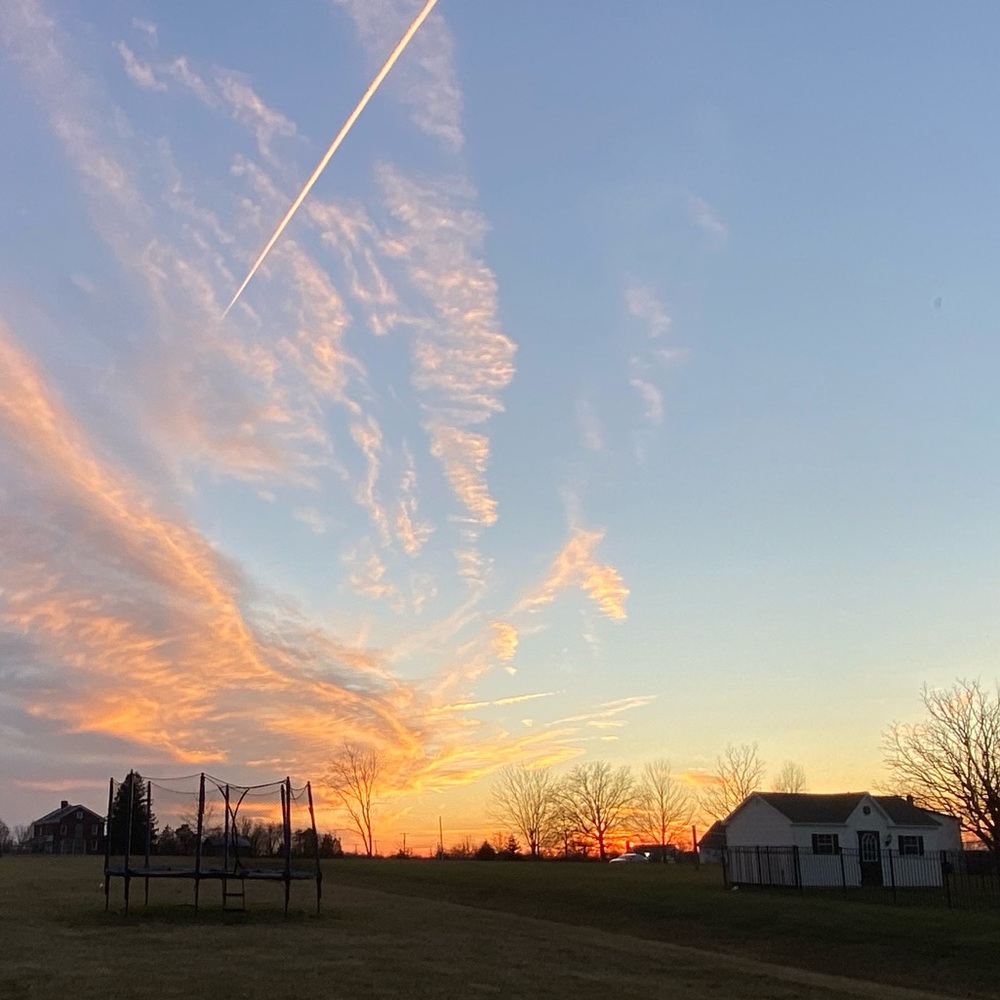 Meet your Posher, Lexi